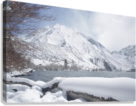 ConvictWinter Canvas Print