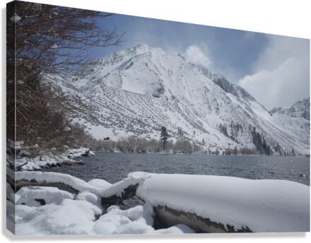 ConvictLkwinter Canvas Print