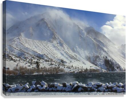 convictwinterroadkill Canvas Print
