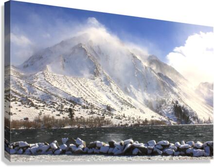 ConvictMorrisonwinter Canvas Print