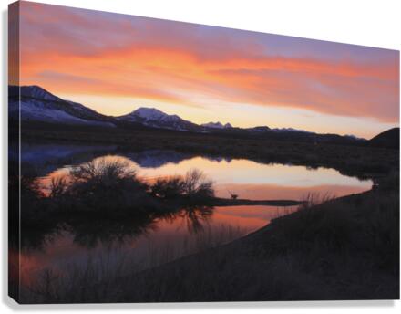 sunsetlaurelpond Canvas Print