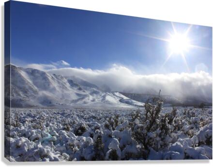 snowsunsage Canvas Print