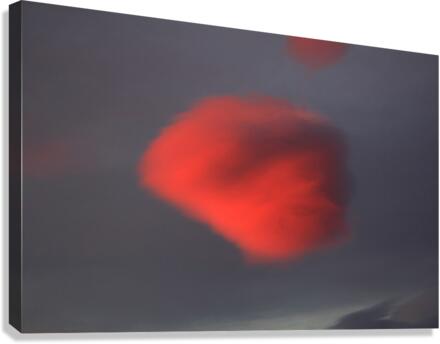 redspaceship Canvas Print