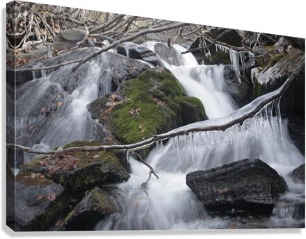 icyclecrik Canvas Print