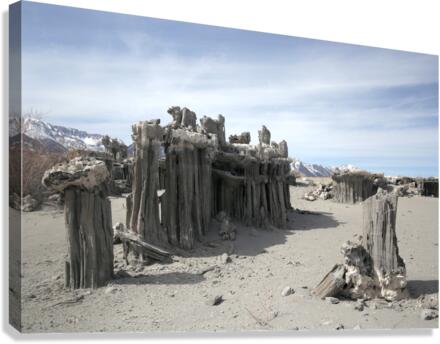 SandTufa Canvas Print