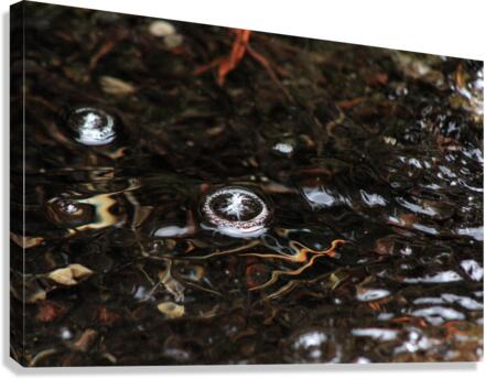 Bubble  Canvas Print