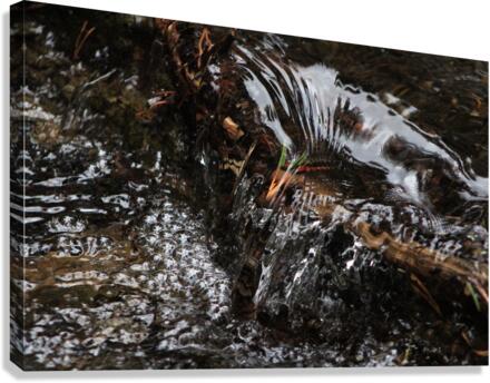 Bubbles Water  Canvas Print