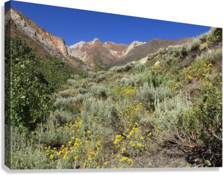 McGee Canyon Canvas Print