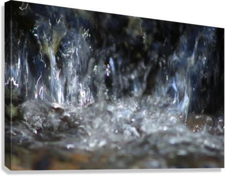 Water  Canvas Print