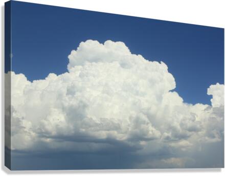 Cumulus Cloud Canvas Print