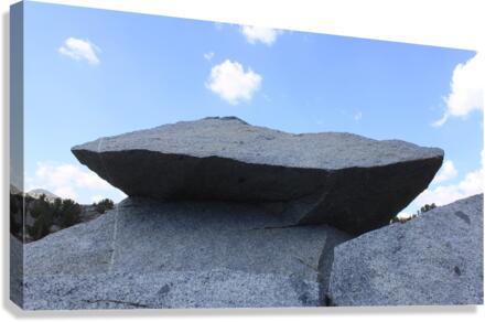 Erratic Rock Boulder Canvas Print
