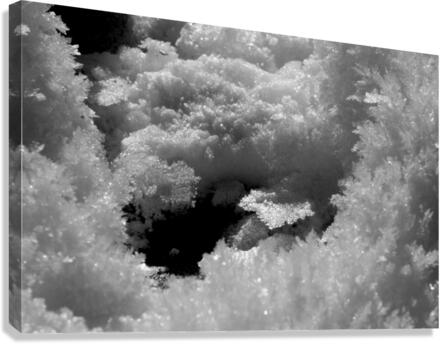 Snow Crystal Canvas Print