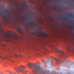 Sierra Nevada Sunset Mono County