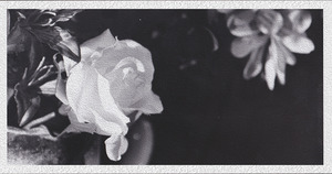 Distant Love