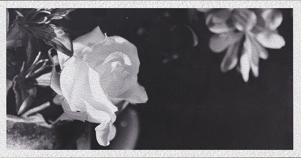 Distant Love Print