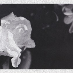 Distant Love