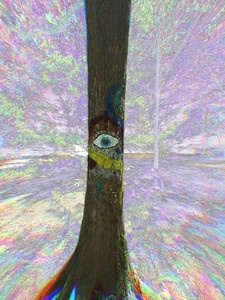 Inner View