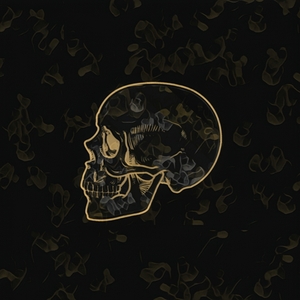 Aurum Cranium