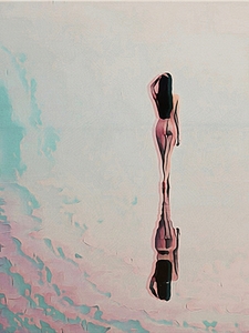 Transcendence Reflection