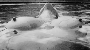 Immersion