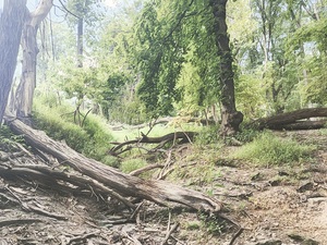 August Trail 2