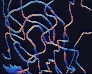 Twisted Direction