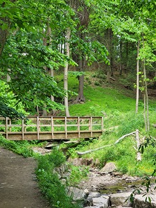 Falls Park Bridge - Side View