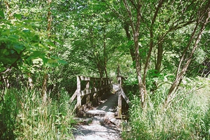 Trail Bridge - 9 Mile Run