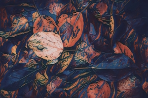Fall Leaves