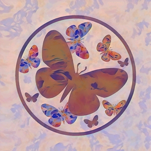 Colorful Flutter