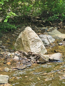Waters Edge