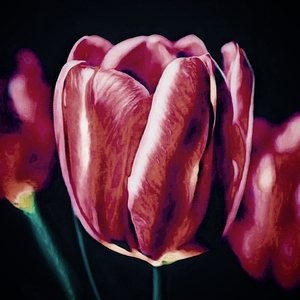 Flower bud