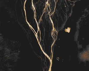 Gold Vein