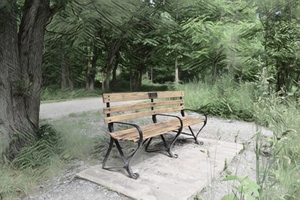 Park bench