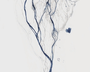 River Vein