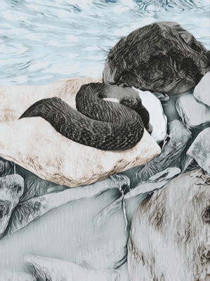 Water Snake - Outer View