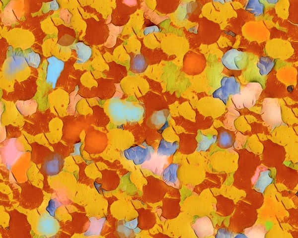 Paint Splash by Millie R Lissow