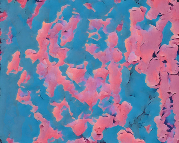 Fluidity Clouds by Millie R Lissow