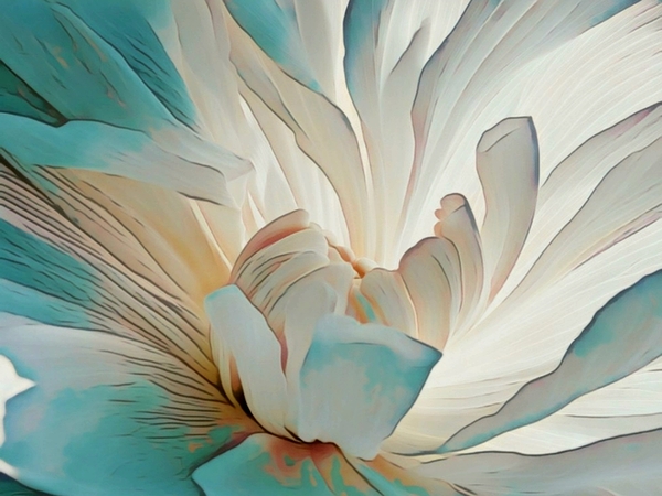Light Petals by Millie R Lissow