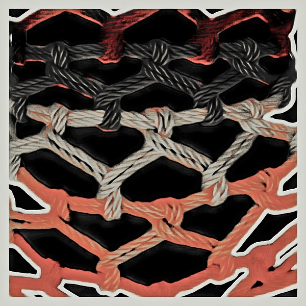 RWB Ropes by Millie R Lissow