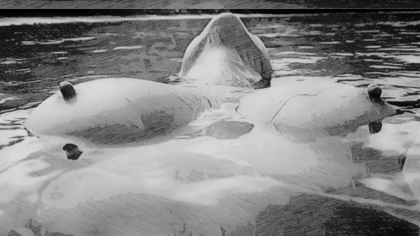 Immersion by Millie R Lissow