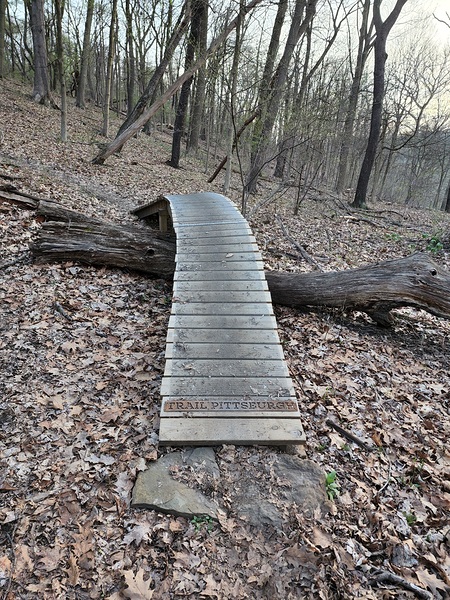 Bike Trail   Full View by Millie R Lissow