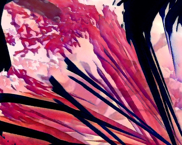 Red Reeds by Millie R Lissow