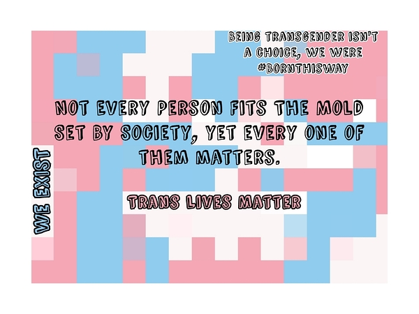 Transgender Support by Millie R Lissow