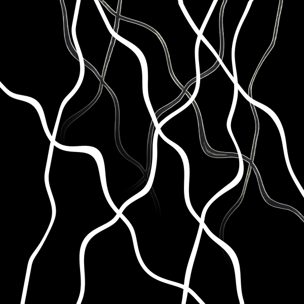 Cut Ties - Negative by Millie R Lissow