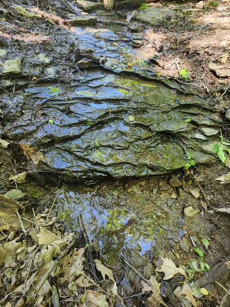 Wet Stone by Millie R Lissow