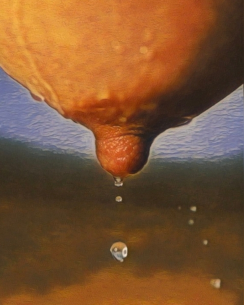 Nipple Drip by Millie R Lissow