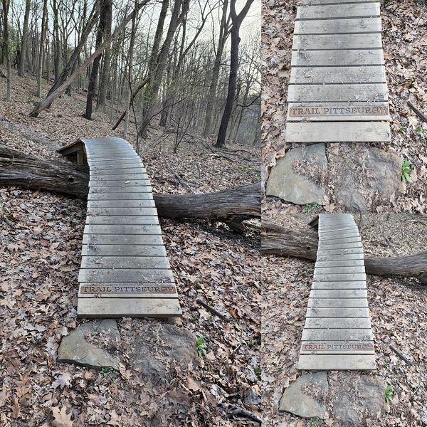 Collection   Bike Trail by Millie R Lissow
