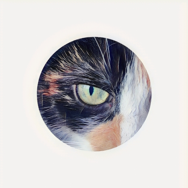Cats Eye Téléchargement Numérique