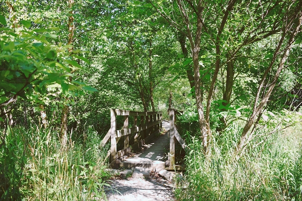 Trail Bridge - 9 Mile Run Print